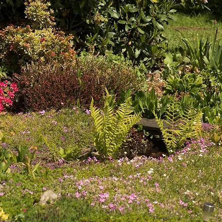 Domek alpejski Vicanov *